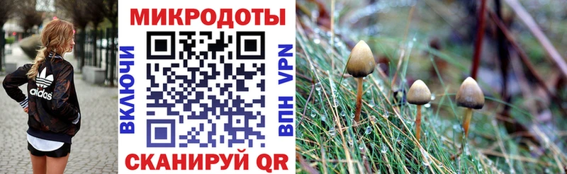 Псилоцибиновые грибы ЛСД  купить   Пугачёв 